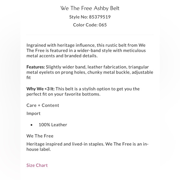 We The Free Ashby Belt - Picture 4 of 5